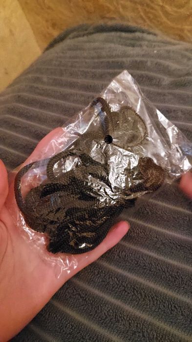 Продаётся 84-дюймовой экран для проектора.