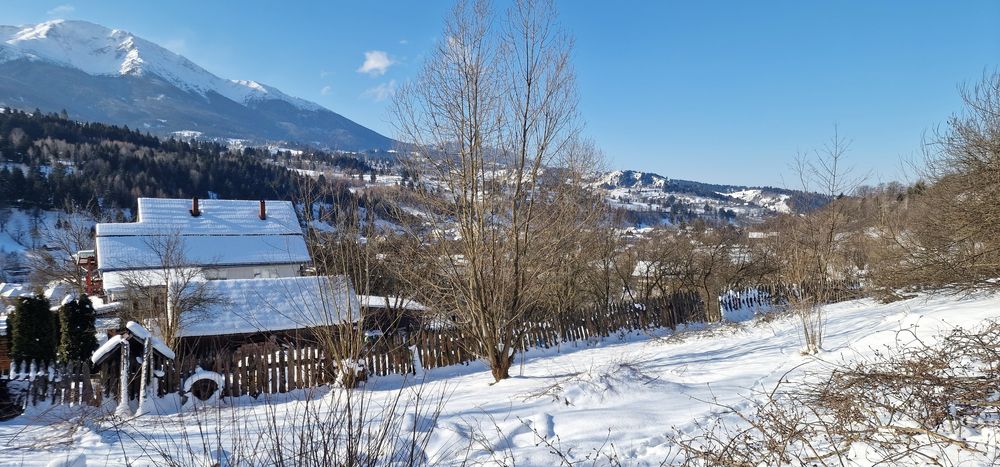 Teren 10.000 mp Borșa – investiție turistică, cabană, căsuțe vacanță