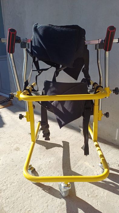 Premergător copii cu nevoie speciale