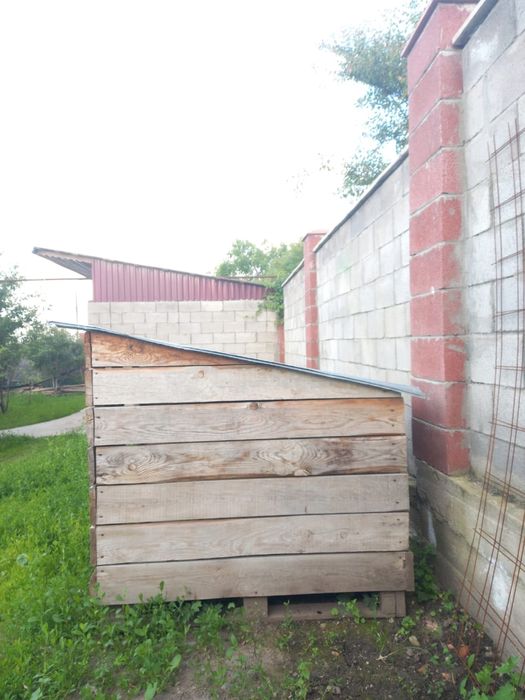 Иттің ұясын сатамын