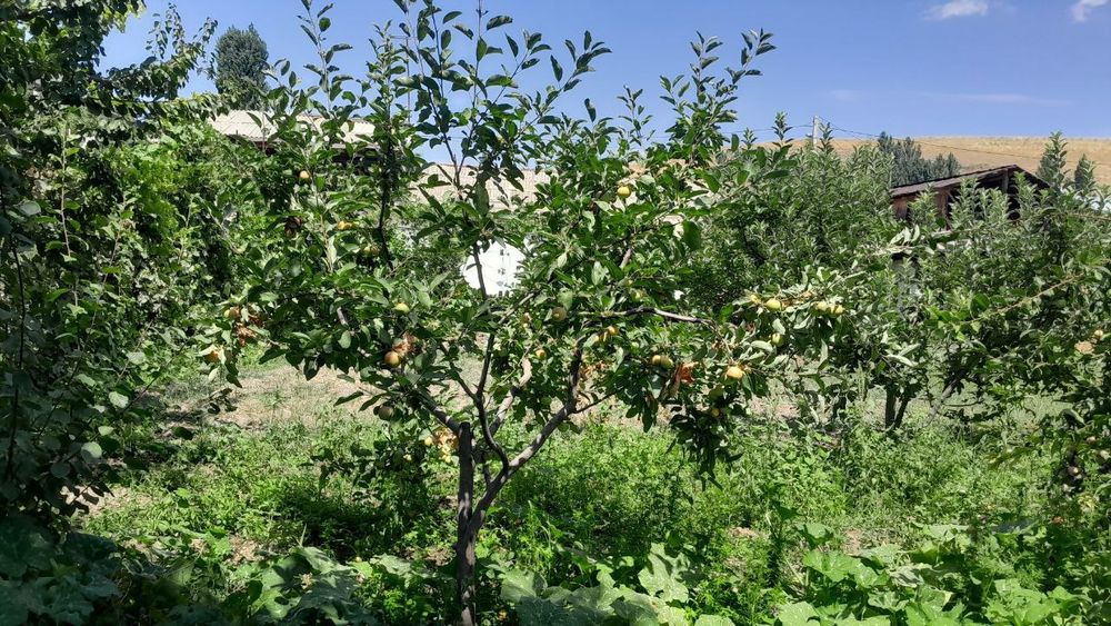 Учаска сотилади..