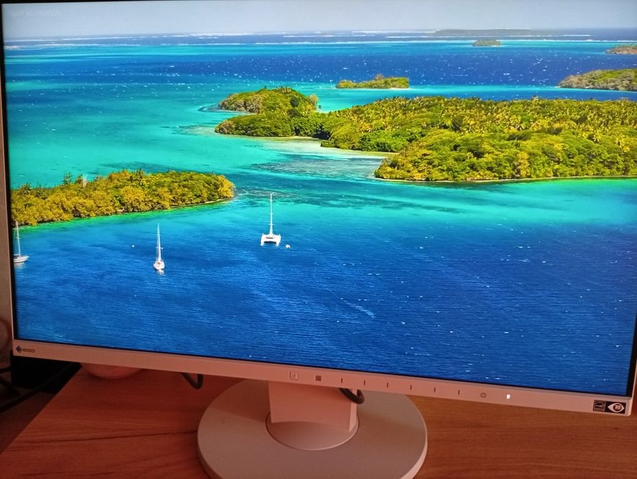 Монитор Eizo FlexScan EV2450 FHD