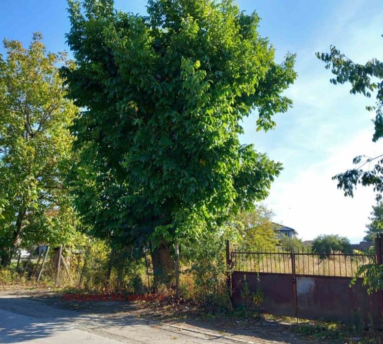 Продава се Парцел в с. Кочево, Област Пловдив - 954 кв.м за 39 €/кв.м - Снимка #2