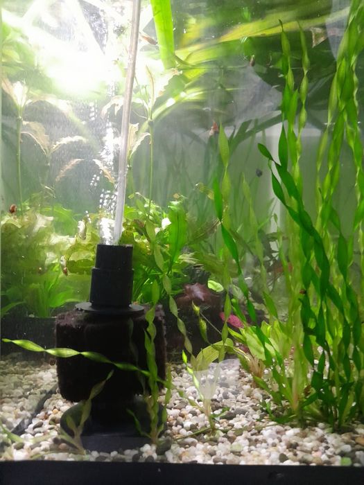 Аквариум 110 литров