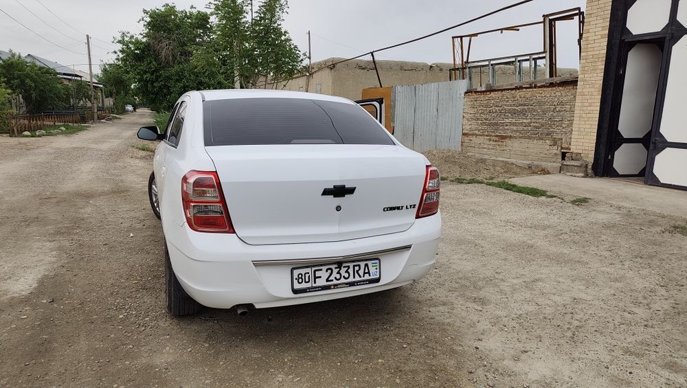 Other Cobalt 2021 — 3