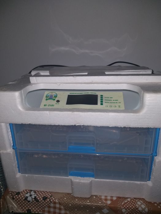 Icubator 120 ouă