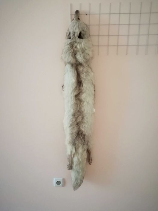 Шапка и яка от сибирска лисица, нови