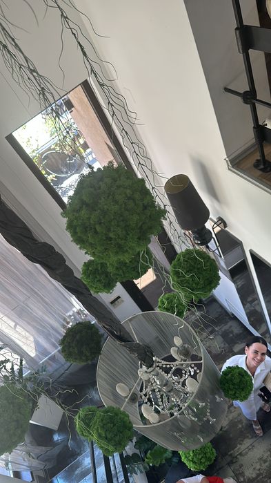 Ofertă închiriere posturi coafor