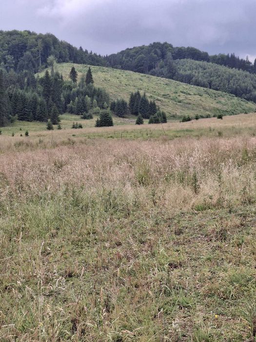 Vand sau schimb teren intravilan Poiana Brasov, str Stanii nr 37