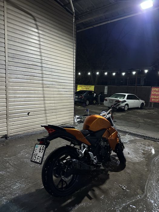 KTM DUKE 250 (peda motrack N10)