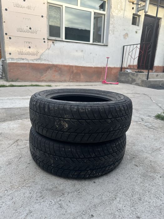 Балондар сатылалы жағдайы жақсы