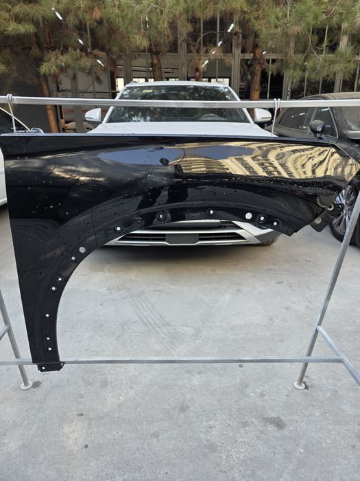 Родной крыло от Byd Chempion