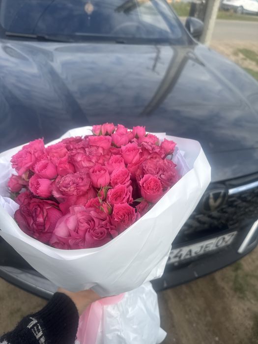 6000 гүл ап арзанғо