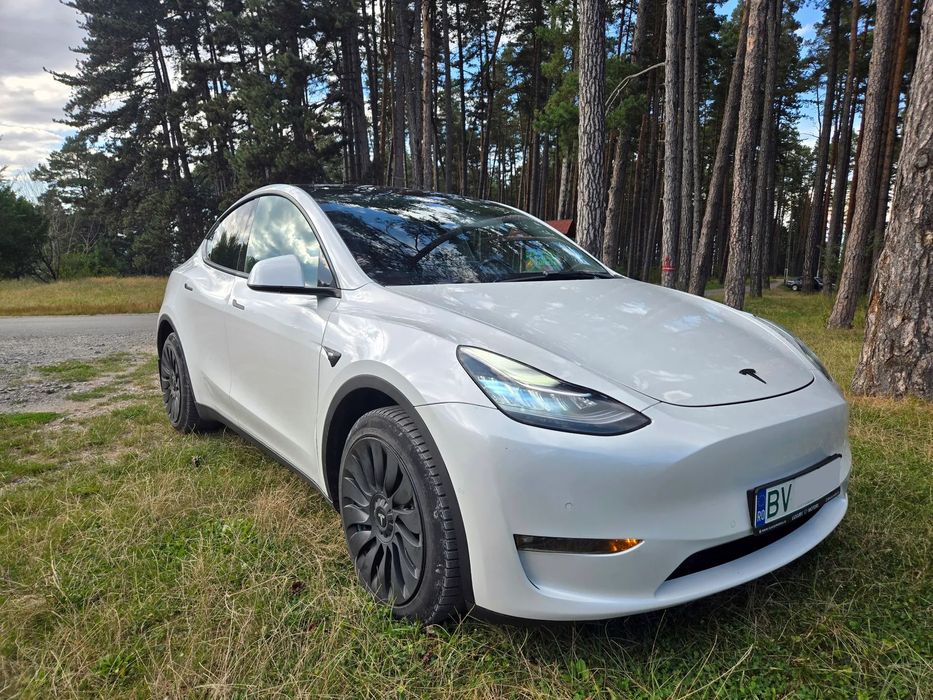 Tesla Model Y Tesla Y 2021 Long Range Dual Motor 4x4