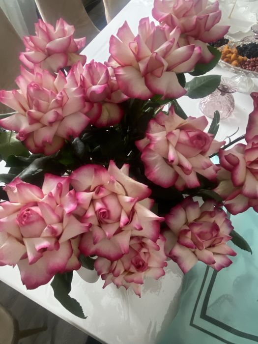 цветы открытые розы