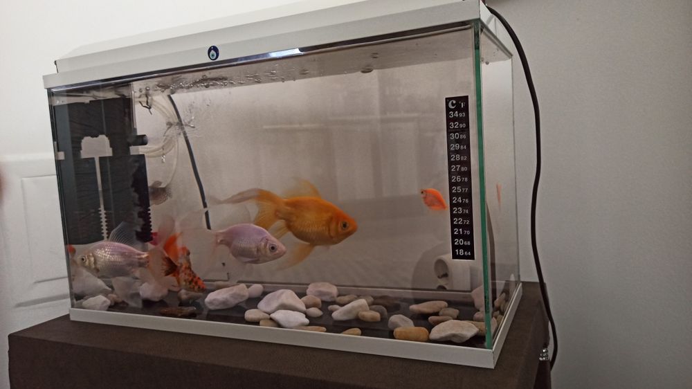 Аквариум + помпа и нагревател -  50 литра
