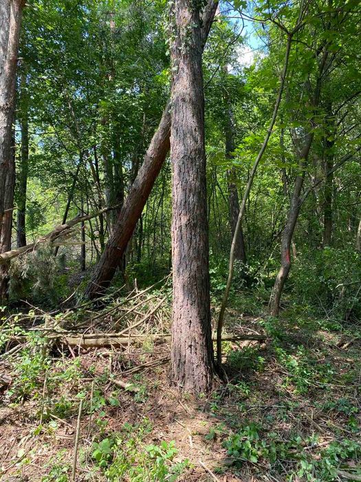 Продава се Парцел в София, в.з. Горна баня - 1747 кв.м за 67 €/кв.м - Снимка #2