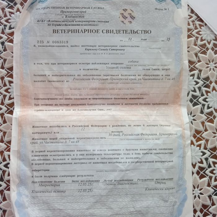 Алобай 1 ёшар булди