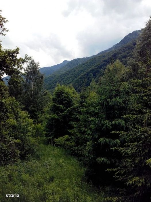 Proprietate rară în inima Retezatului – 5.700 mp teren intravilan