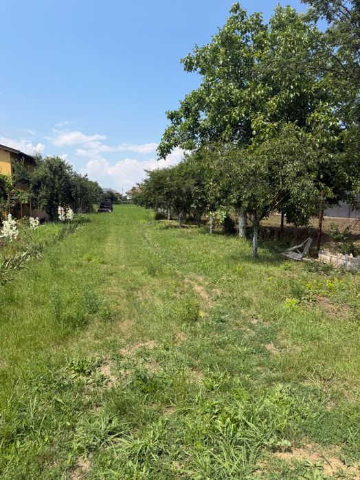 Pământ intravilan