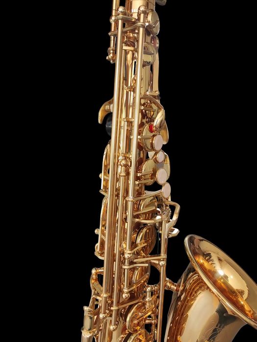 Set Saxofon Alto Parrot ZL118 Auriu