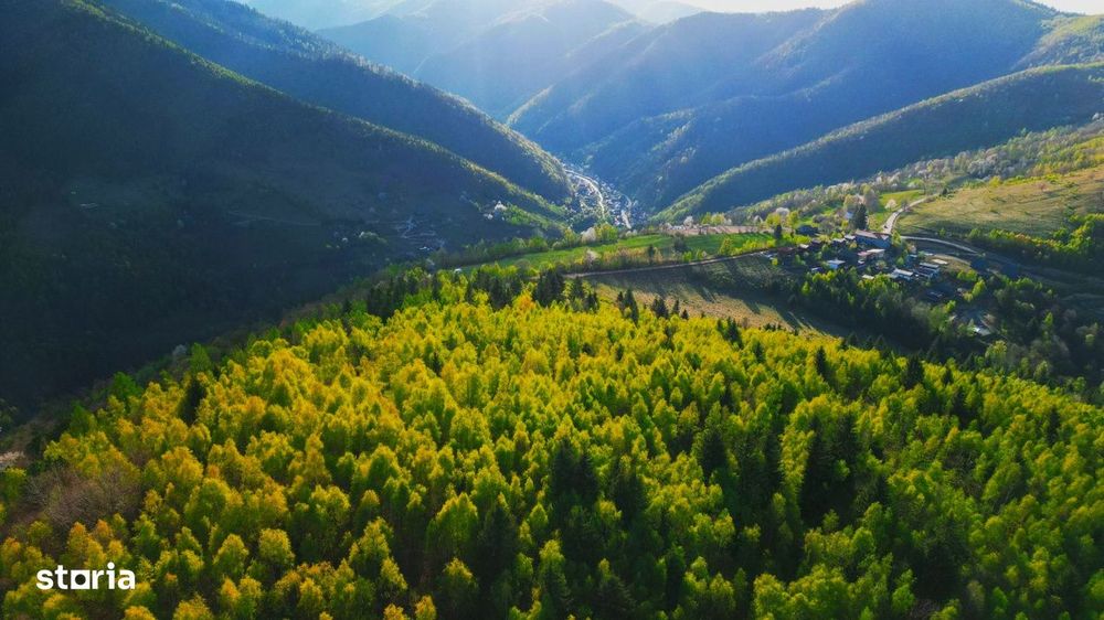 Cabana de vanzare in Muntii Apuseni – Valea Ierii, jud. Cluj