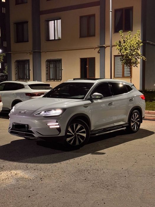 Byd chempion Honor