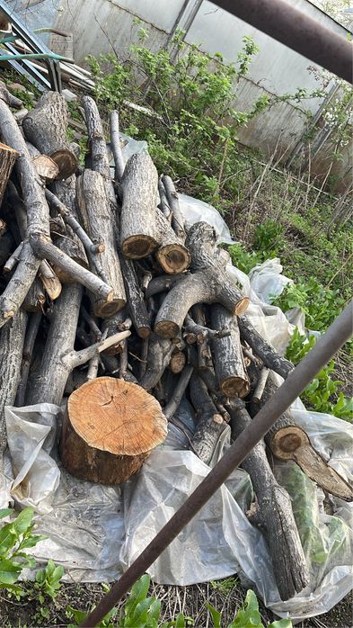 Орех, дрова плодовые и строительные