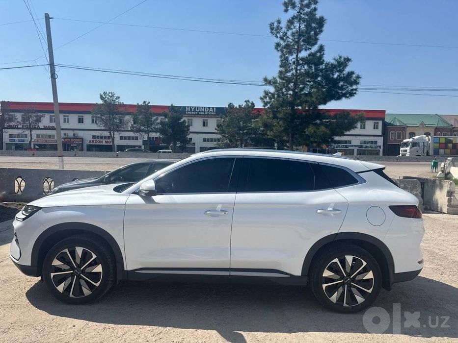 Byd chempion 2024/25