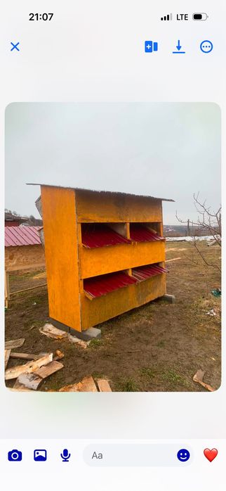 Vând iepuri cu cușcă sau schimb pe stupi
