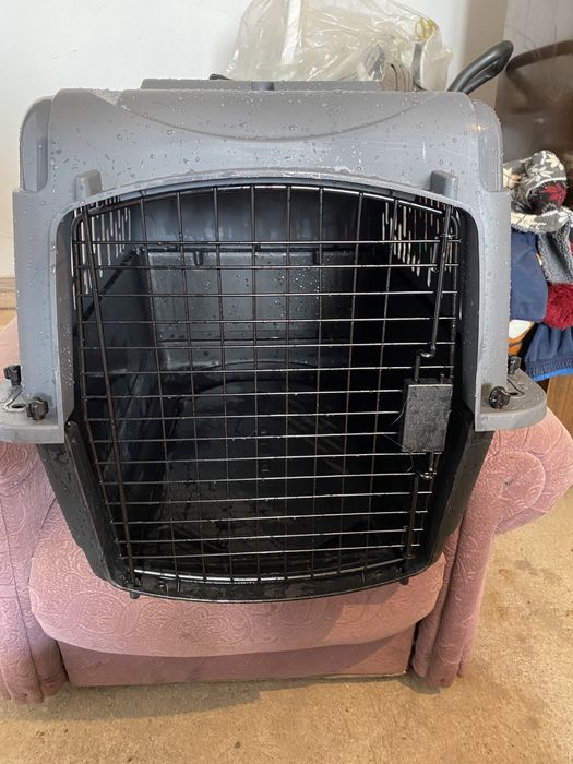 Контейнер для перевозки животных