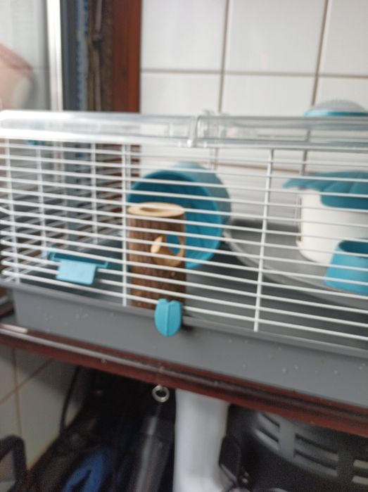 Vând cușcă hamster