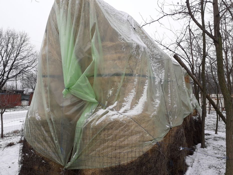 Vand baloti rotunji de fan sau la schimb cu o vitica
