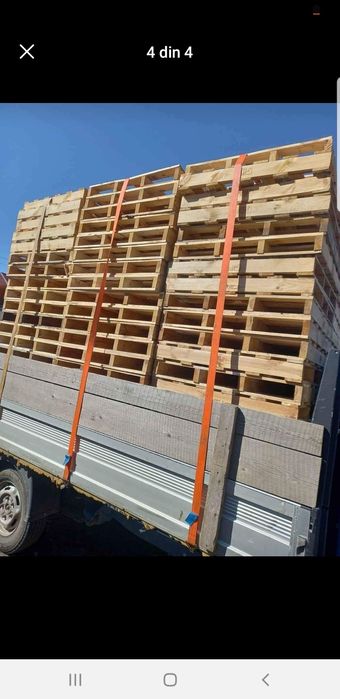 Paleti 20 lei bucata la topraisar