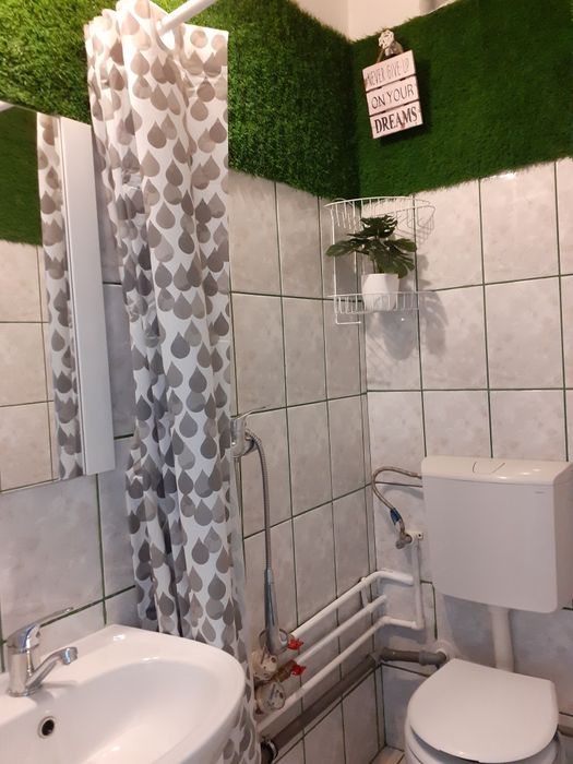 Pers fizica, garsoniera de inchiriat, 250 euro, Gheorgheni, et 2