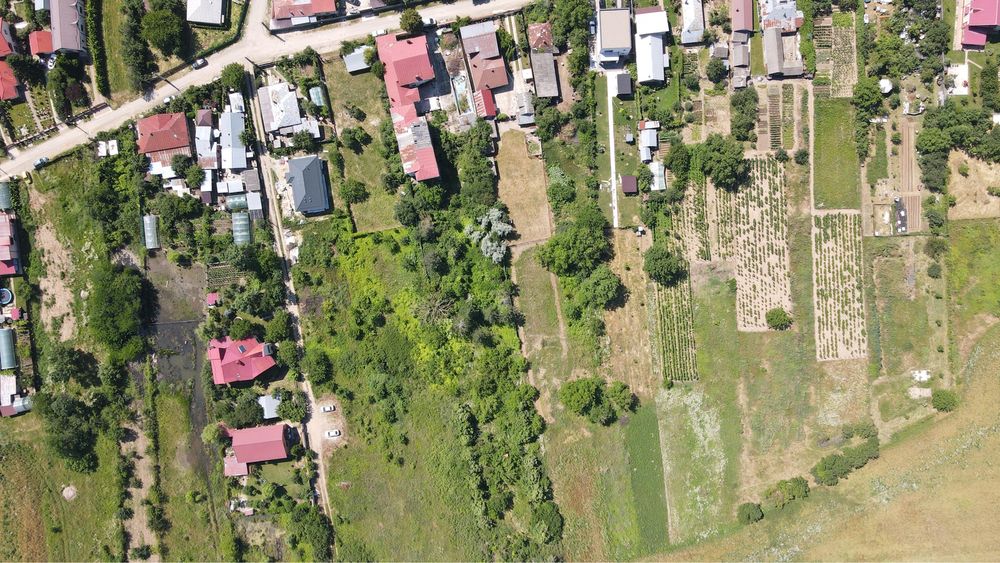 Teren 2500 mp de vanzare Tancabesti
