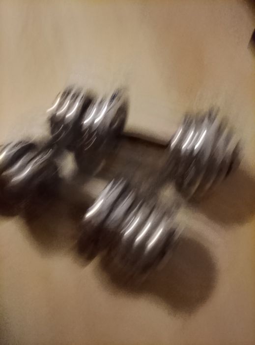 Gantere  29.7 kg +