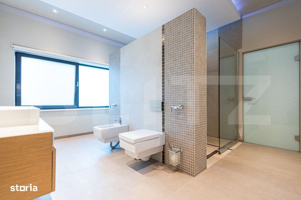 Vila, 8 camere, 790 mp utili, zona Lunei