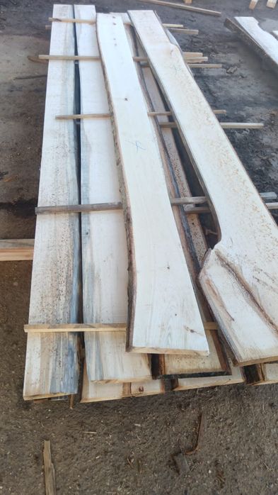 Vand cherestea de tei netivita