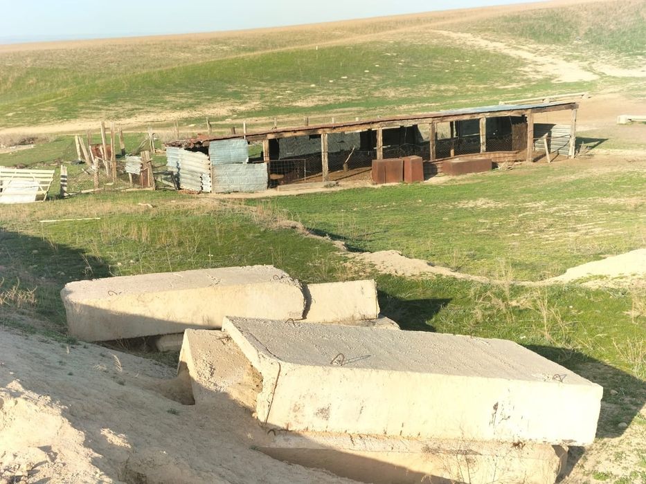 Фазенда, кашара 200га