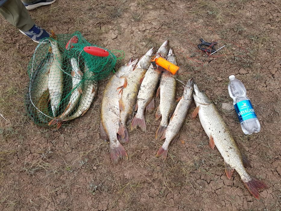 Рыбалка,выезд на рыбалку