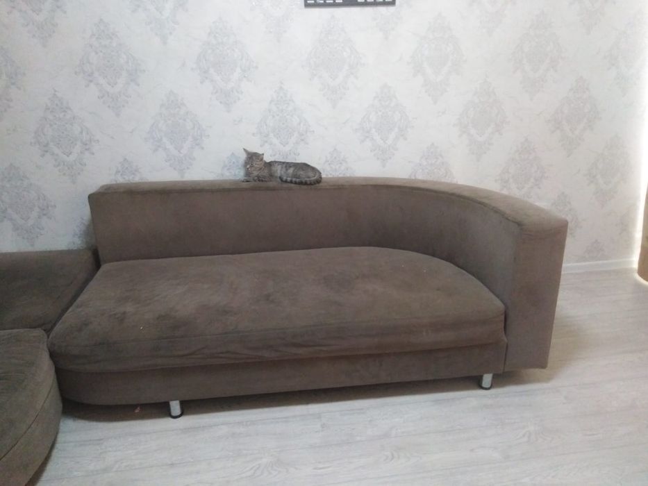 Отдам диван за вкусняшки детям