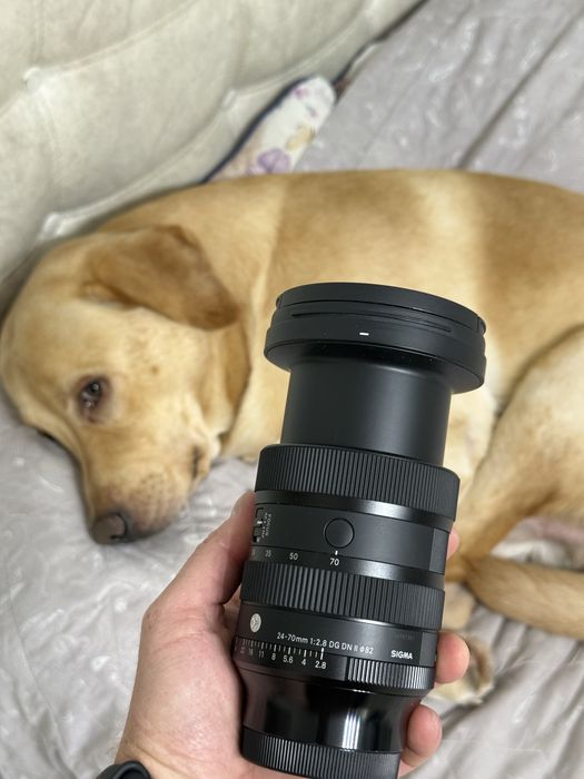 Объектив на Sony Sigma 24-70 f2.8