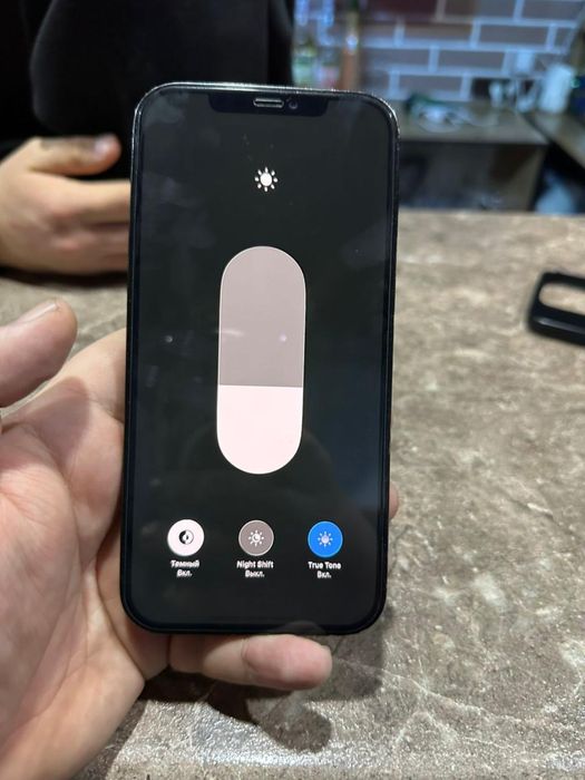 iPhone 12 Pro Max 256 GB