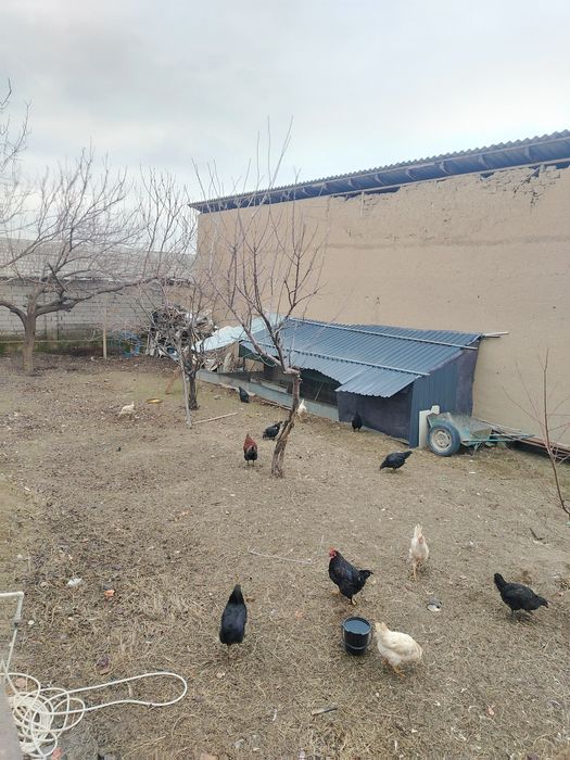 Yer sotiladi srochna