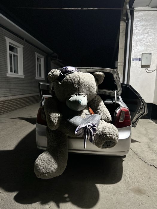 Teddy тедди айик