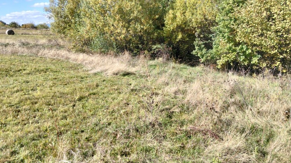 Teren agricol extravilan