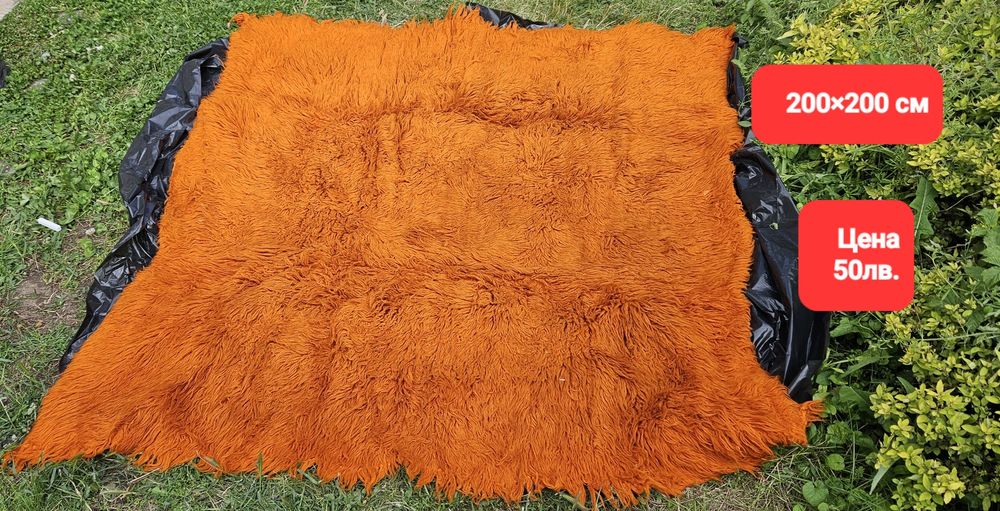 Родопски Китеници