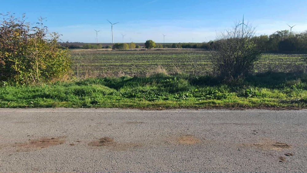 Нива 1 дка с. Горун на 200м от международен път Варна - Дуранкулак.