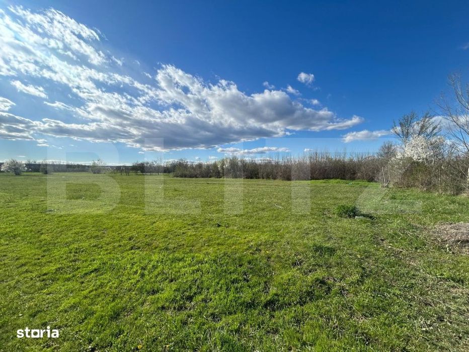 Teren | Rancaciov | 2000 Mp | 700 Intravilan |